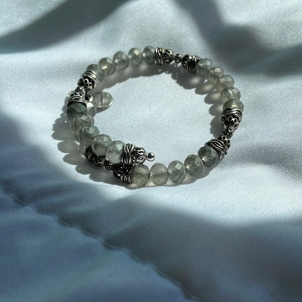 Alex and Ani Silver and Grey Adjustable Bracelet
